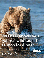 You might not be getting the salmon you paid for. America�s favorite fish is swimming in a sea of controversy, from alleged corporate price fixing and false sustainability claims to mislabeling and fraud.